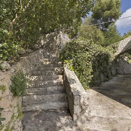 Stefanelli Holiday home *